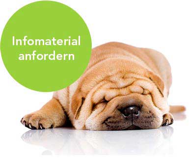 Infomaterial anfordern