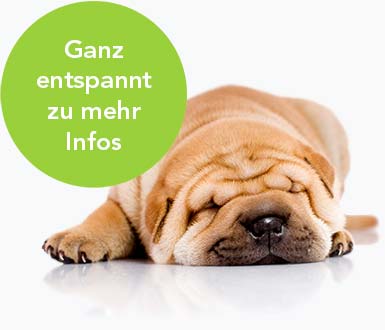 Ganz entspannt zu mehr Infos